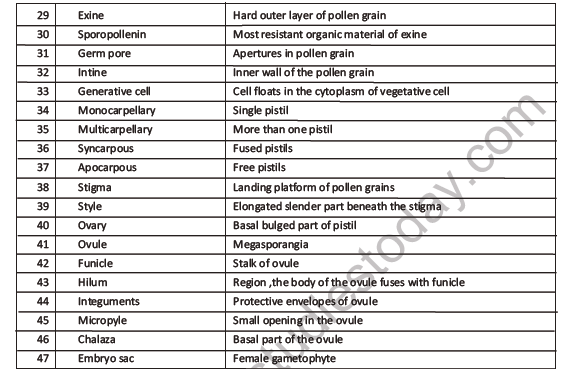 Cbse Class 12 Biology Sexual Reproduction In Flowering Plants Worksheet